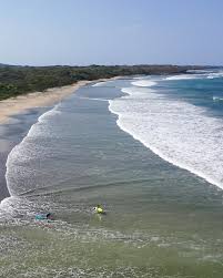 Surf and Yoga Retreats in Costa Rica  Lush Palm