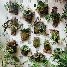 We also explain how to build in room for a doorframe. Your Ultimate Guide To Creating A Living Wall In Your Home