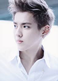 Maybe you would like to learn more about one of these? Exo Kris Wu Exo 2020