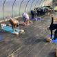 Greenhouse Yoga with Meg Sullivan event in Plympton, MA