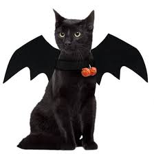 We did not find results for: Cute Bat Wings For Pet Dog Cat Costumes Halloween Christmas Cosplay Clothing Funny Xmas Spider Dress Up Pet Accessories China Pet Clothes And Pet Products Price Made In China Com
