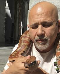 The Dogs of San Francisco