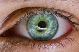 Corneal Abrasion: How To Treat A Scratched Eye