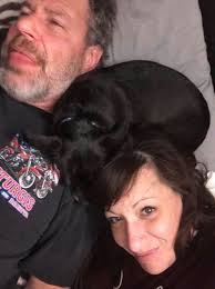 Lost dogs in Stephens, GA, near 106 Chevron exit