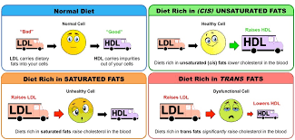 Many people ask the question: Lipid Health Risks Bioninja