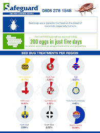 Handpicked top 3 pest control in cambridge. Bed Bugs Stats Infographic Safeguard Pest Control