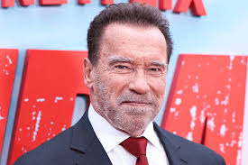 ▷ Press Arnold para tus hombros【4 Claves para su ejecución】