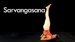 Vajrasana The Thunderbolt The Diamond Pose The Sitting Asana In Yoga Youtube