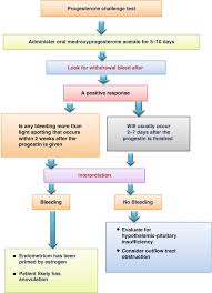 Image result for Progesterone Challenge Test