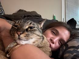 Lost Cat Obi in Montevallo near the Tavern