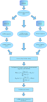 The Workflow Chart Of Lpi Bnpra Download Scientific Diagram