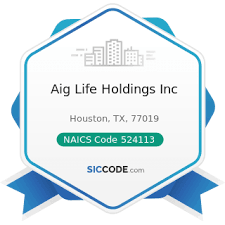 Check spelling or type a new query. Aig Life Holdings Inc Zip 77019 Naics 524113