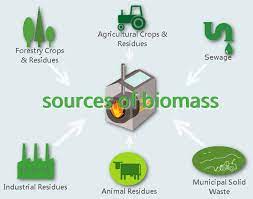 Biomass As Renewable Energy Resource Bioenergy Consult