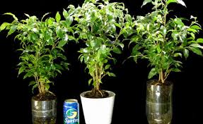 She invented reduce/reuse before anyone else had ever heard of recycle.' 'the days of reprocessing spent fuel to produce plutonium and uranium for potential reuse are numbered.' Ten Of The Best Ways To Reuse Your Rubbish