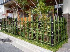 Outdoors, the bamboo is as sturdy and reliable as wood. 50 By Bamboo Ideas Bamboo Fence Bamboo Bamboo Garden