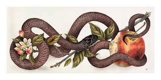 Snake Apple Apple Tattoo Eve Tattoo Snake