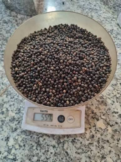 Vietnam black pepper granules