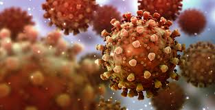 What Does Coronavirus Do to the Body? | Elemental