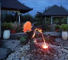 DIY Ponds & Water Gardens