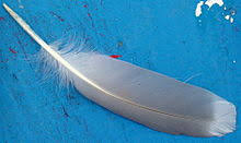 The definition of plumb in webster's dictionary is measuring exactly, thoroughly and completely. Plume Wiktionary