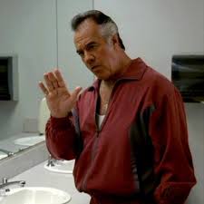 The many saints of newark, which recently saw its release date pushed back one week, is written by the show's original creator, david chase, and lawrence konner and directed by sopranos veteran alan taylor. Paulie Gualtieri Characters Best Of Hbo Kdkd6696 Mrowl