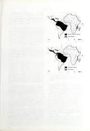 Image result for Hirtella zanzibarica