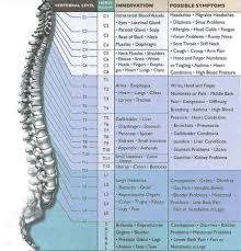 Pin On Health