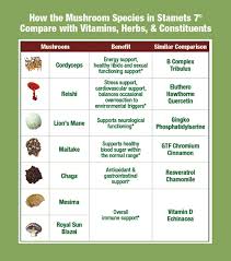 30 Rare Medicinal Mushroom Chart