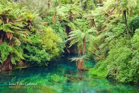 Check spelling or type a new query. Dia Mundial De La Proteccion De La Naturaleza Ambientum