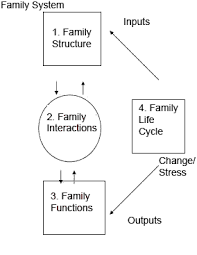 Family Systems Theory Chapter 2 Family Interaction Chapter 10 Families As Partners In Developing Individualized Plans
