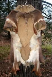 Deerskin Cape In Leather Hides Tanning Forum Animal Hide Deer Skin Tanning Hides