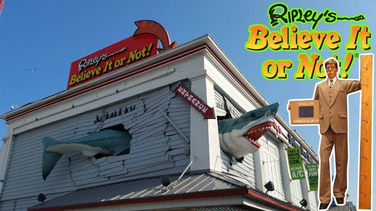 Mga resulta ng larawan para sa Ripley’s Beleieve it or Not Museum with shark"