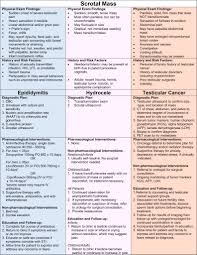 Nursing exemplar template nurse exemplar sample nursing exemplars calligraphy exemplars nursing essay writing exemplars nursing resume nursing an example of an exemplar is a copy of a manuscript. Teaching Diagnostic Reasoning To Advanced Practice Nurses Positives And Negatives Clinical Simulation In Nursing