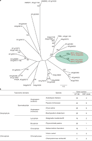 Game asah otak yang satu ini terinspirasi dari acara yang ada disalah satu tv sawsta. Pectin Rg I Rhamnosyltransferases Represent A Novel Plant Specific Glycosyltransferase Family Nature Plants