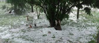 Una Impresionante Tormenta De Granizo Dejo Evacuados Y Destrozos En Tucuman Infocampo