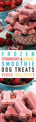 Frozen Strawberry And Banana Smoothie Dog Treats Yemek Tarifi Goruntuler Ile Ev Yapimi Kopek Mamasi Ikramlar Goodies