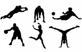O desporto engloba grandes áreas da saúde e existem diferentes doenças que podem ocorrer aquando a sua prática. Desportos By Francaso1 On Emaze