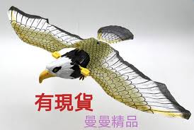 Search for text in url. è€é·¹æ¨¡åž‹ é£›èˆžçš„è€é·¹ é›»å‹•è€é·¹ æœƒå‹•æœƒå« çŽ©å…·è€é·¹ æœƒæ‰‡å‹•ç¿…è†€æœ‰å«è² é€åŠç¹© éœ²å¤©æ‹è³£