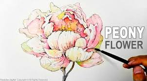 Pdf download painting flowers in watercolor with louise jackson decorative painting download full ebook. How To Draw Paint A Peony Flower With Ink And Watercolor Level 5 Peony Drawing Flower Drawing Flower Painting