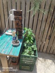 Diy Growing In Plastic Crates With Automatic Irrigation System In 2020 Plastic Crates Automatic Irrigation System Irrigation System