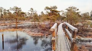 Discover latvia tours will take you to all of these places in the great atmosphere to get the best sensations and relax enjoying latvia slowly! Latvia