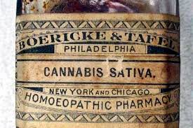 A hand grinder is best, but you can also use a food processor or coffee grinder. How To Make Cannabis Tinctures