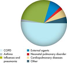 What do different colour inhalers do? Copy Of Medical Areas Watgen Medical