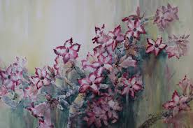 Image result for Anisotes formosissimus