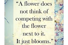 Quotes About No Competition 88 Quotes