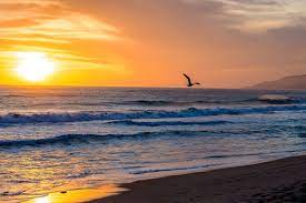 Check spelling or type a new query. Hotel By Zuma Beach Malibu Country Inn