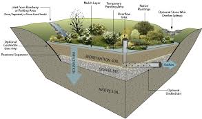 Bioremediation Rain Garden Design Rain Garden Landscape Design