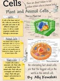 Maybe you would like to learn more about one of these? The Cell From Latin Cella Meaning Small Room Is The Basic Structural Functional And Biological Unit Of A Science Cells Biology Classroom Science Biology