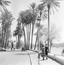 كورنيش بنها فى خمسينيات القرن الماضى Egypt Life In Egypt Old Egypt