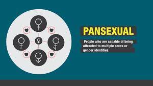 As a result, they are attracted to all genders. Pansexual Definition Cultural Context And More Cnn